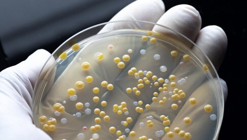 Antibiotics-Cover