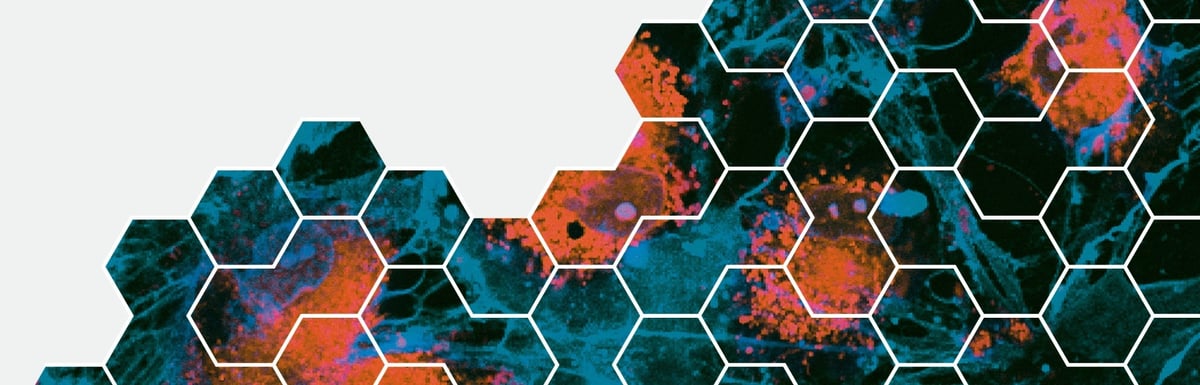 LinkedInHeader-1