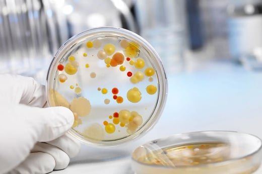 keyvisual-ohamr